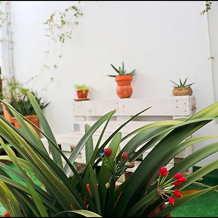 Loft Centro * Cádiz